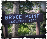 Bryce Point