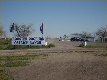 Rooster Cogburn Ostrich Ranch, Arizona